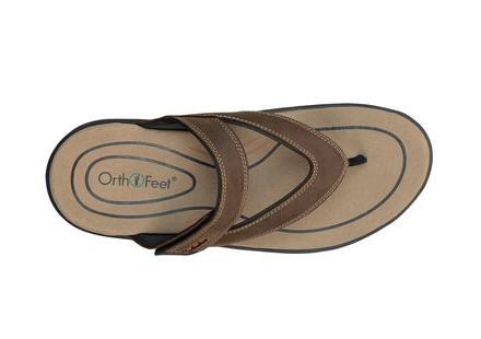 Best online shopping offers Eldorado Brown 0322