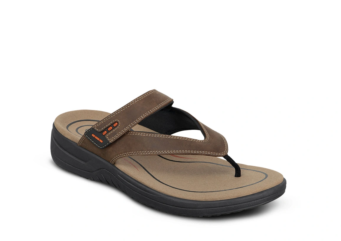 Best online shopping offers Eldorado Brown 0322