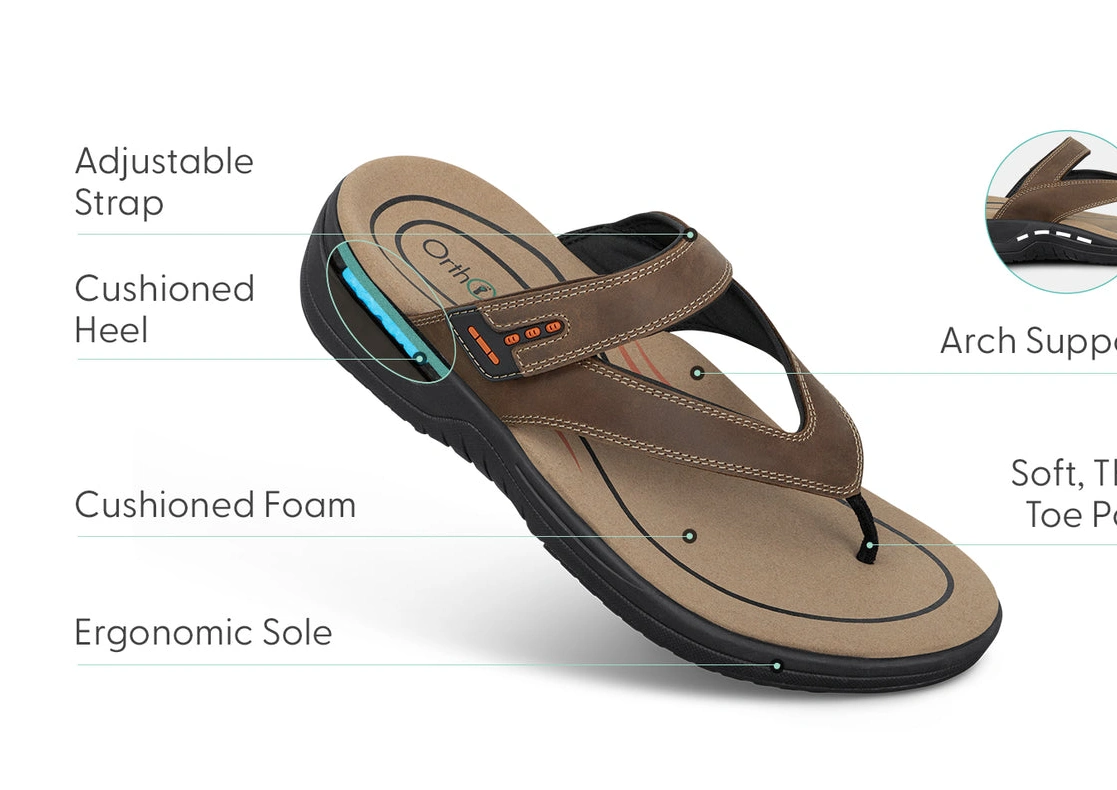 Best online shopping offers Eldorado Brown 0322
