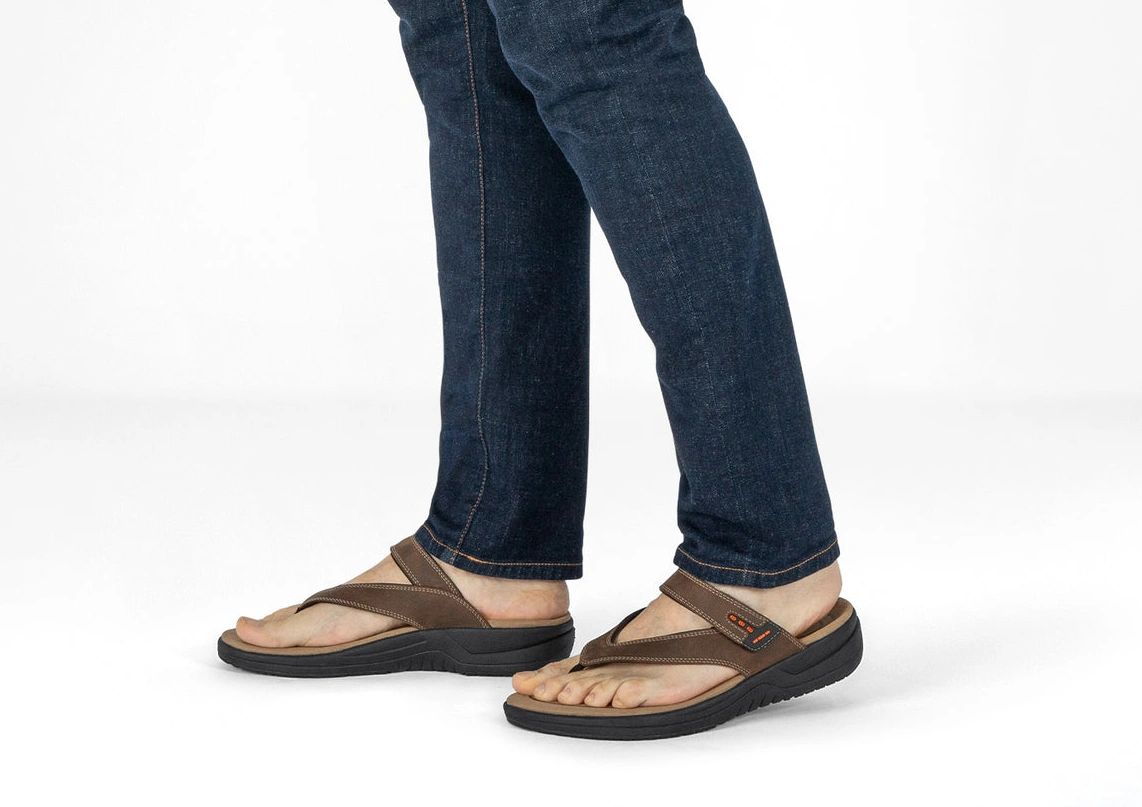 Best online shopping offers Eldorado Brown 0322