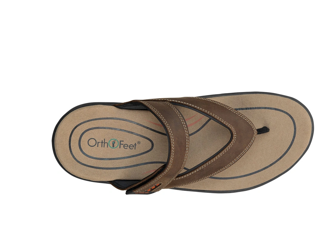 Best online shopping offers Eldorado Brown 0322