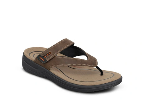Best online shopping offers Eldorado Brown 0322